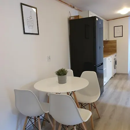 Duze Mieszkanie - Gdansk Wrzeszcz Apartment *