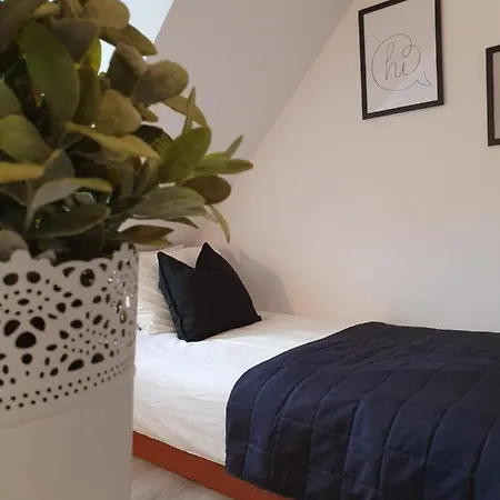 Apartment Duze Mieszkanie - Gdansk Wrzeszcz Gdansk