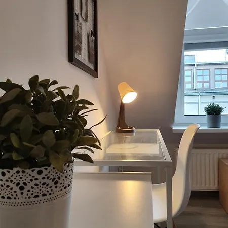 Apartment Duze Mieszkanie - Gdansk Wrzeszcz *