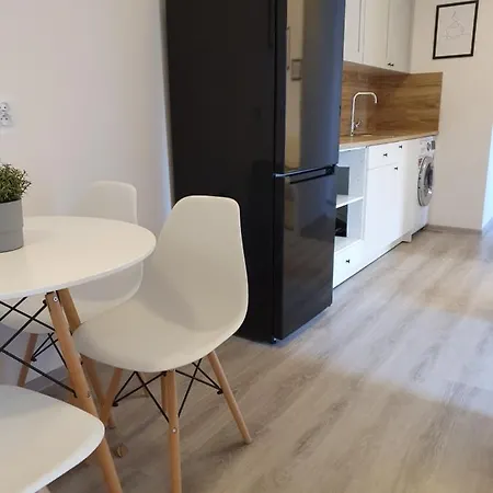 Duze Mieszkanie - Gdansk Wrzeszcz Apartment *